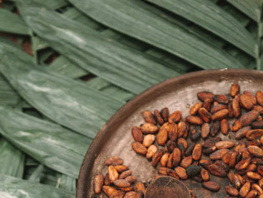 Comment débuter votre voyage avec le cacao cérémonial : un guide pas à pas pour commencer en toute sérénité
