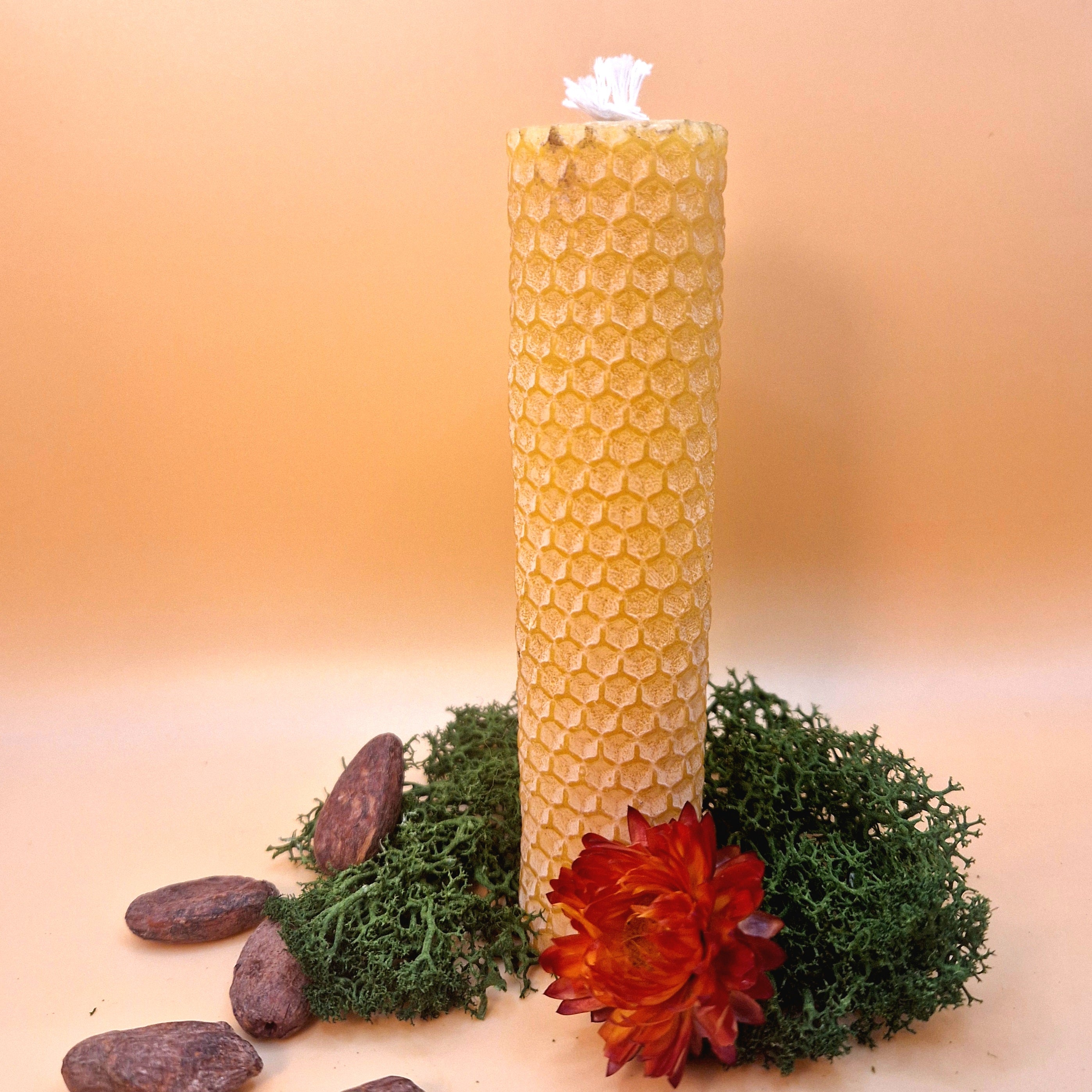 Bougies artisanales à la cire d'abeille