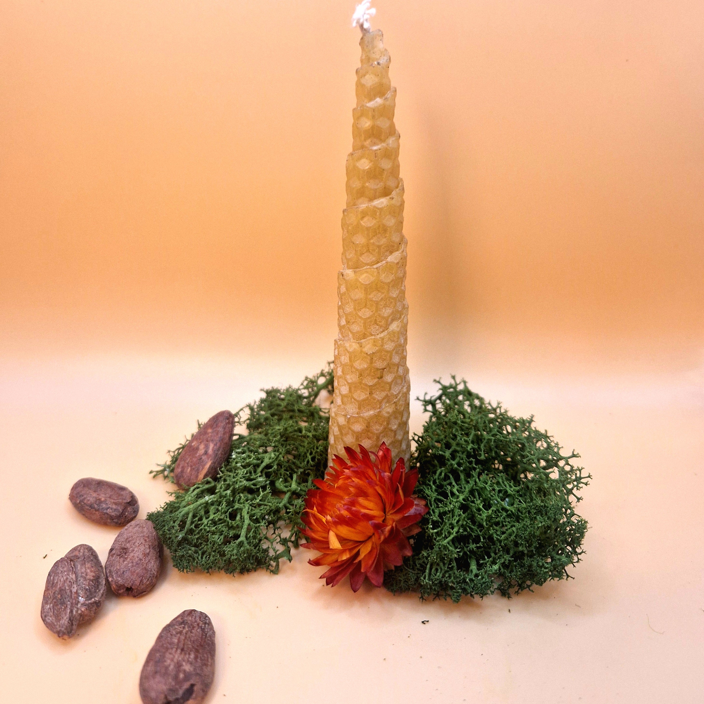 Bougies artisanales à la cire d'abeille