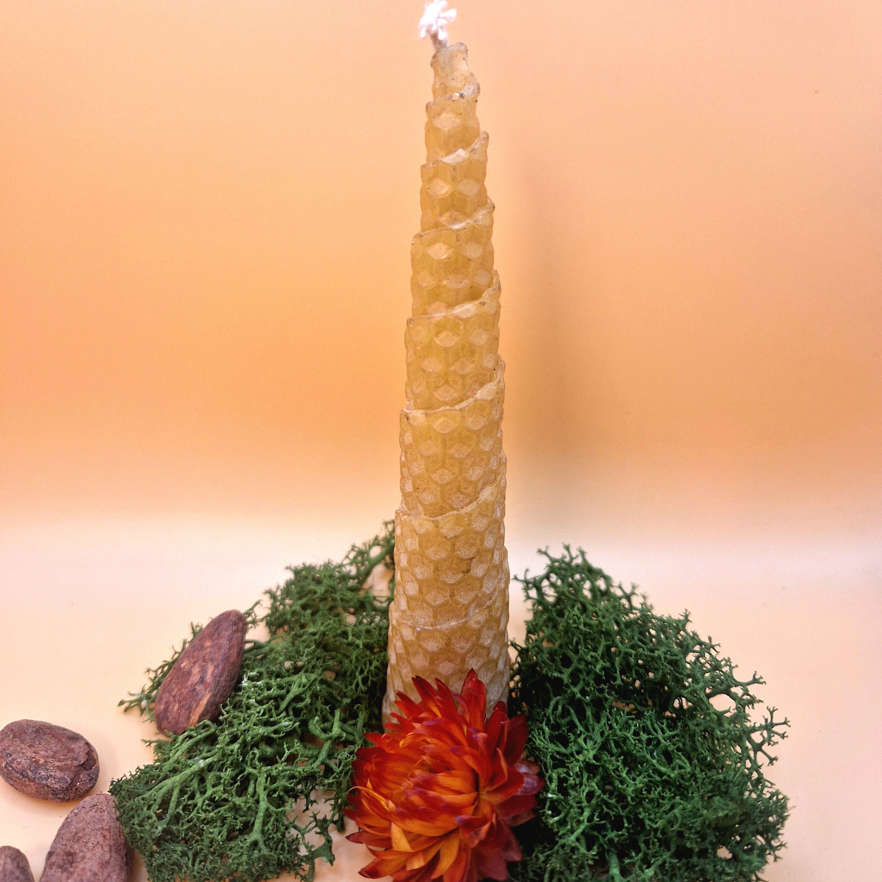 Bougies artisanales à la cire d'abeille